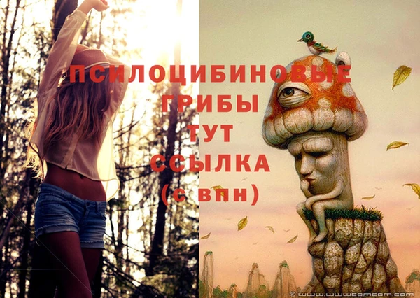 гашишное масло Киреевск